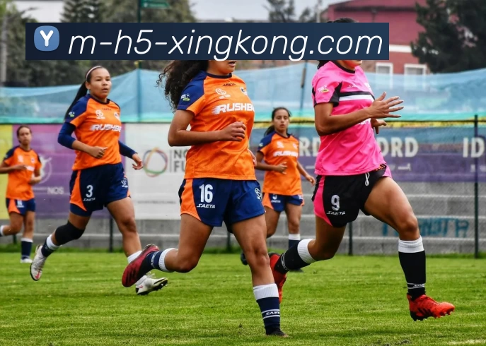 XINGKONG服务体系